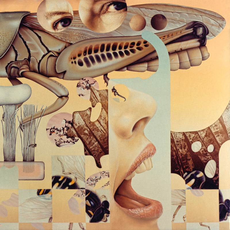 Familiar Faces | Zhazhda - Zhazhda - Patta