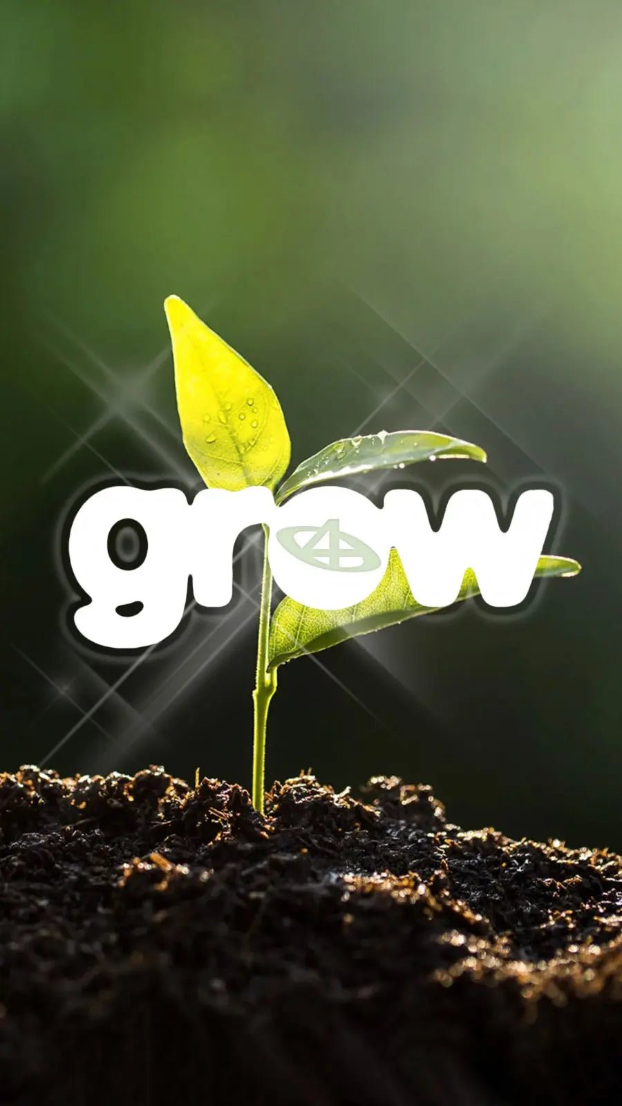 Grow At Kanaal40 - Patta