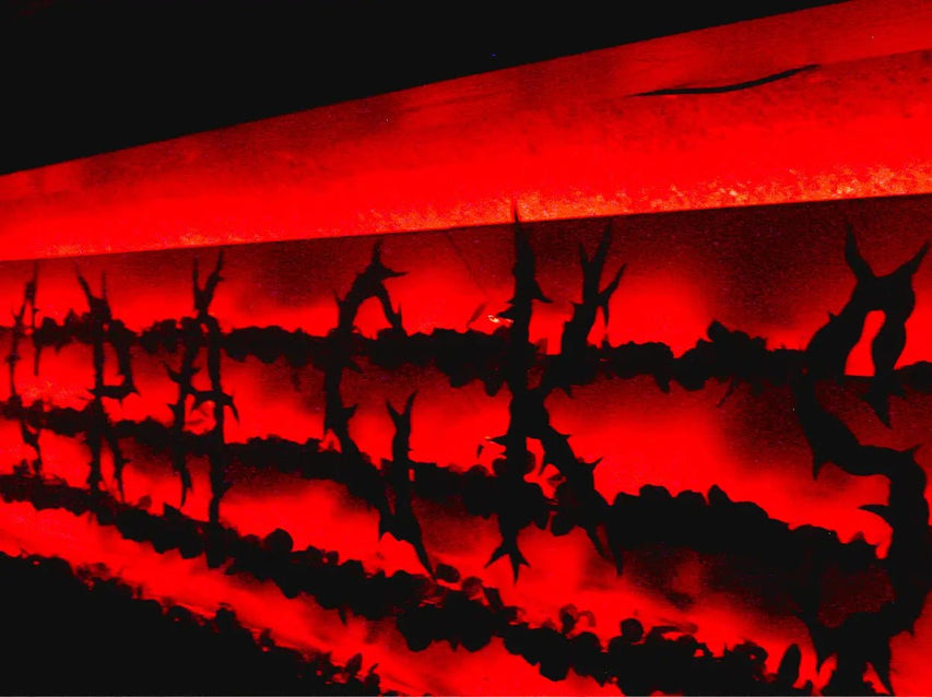 What Went Down At The Patta X Mila V Launch Party - Patta