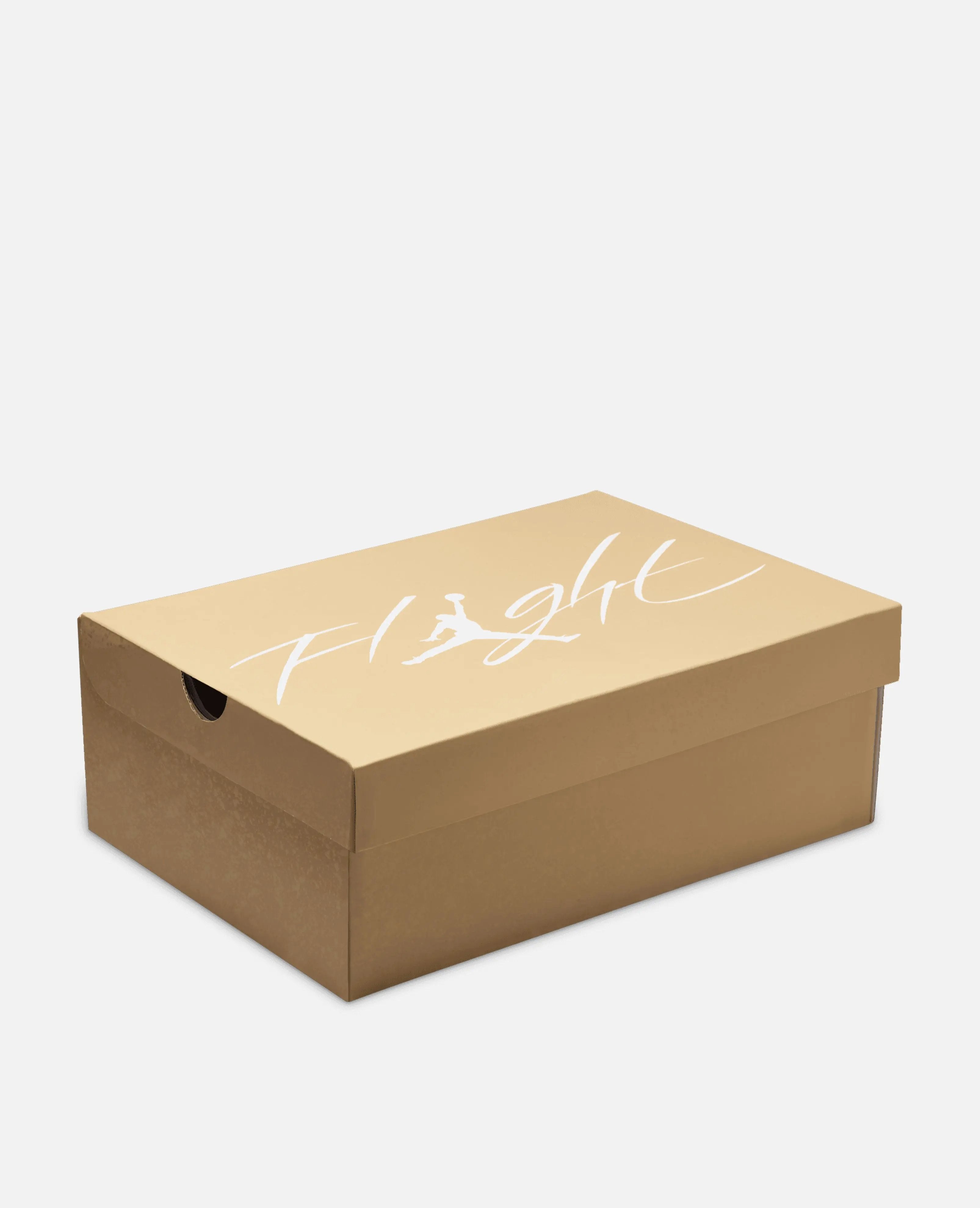 Nike WMNS Air Jordan 4 Retro Tex (Hemp/LT Orewood BRN) - Patta